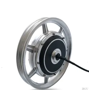 10 Inch 12inch 14inch 24V 36V 48V DC 250W-350W Electric Scooter Electric Bicycle Solid Tyre Hub Motor