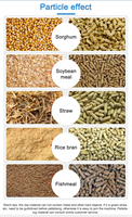 Nouvelle machine à fabriquer des granulés d'aliments pour poulets en acier inoxydable, haute productivité, 150 kg/h, pour petites exploitations agricoles