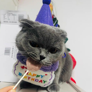 Golosinas para gatos liofilizadas sin granos <span class=keywords><strong>Chicky</strong></span> Licks, sin colores artificiales, sabores y otros ingredientes innecesarios. - Product Image 6