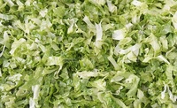 Déshydrateur alimentaire industriel FZHS-15 pour la déshydratation des légumes