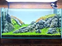 Décoration d'aquarium et de terrarium en pierre de dragon Seiryu naturelle PKY, décoration pour réservoirs aquatiques et reptiles