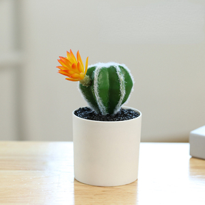 Mini <span class=keywords><strong>Cactus</strong></span> Artificial en Maceta, Planta Artificial en Recipiente de Plástico, Decoración de Oficina, Adornos Pequeños Creativos, Directo de Fábrica - Product Image 2