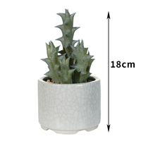 Plantes succulentes artificielles en plastique écologiques mini 18 cm pour la décoration de bureau et intérieure/extérieure