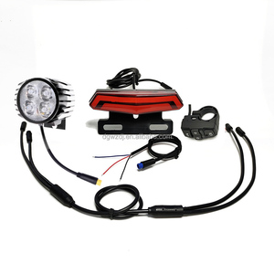 Tùy Chỉnh 1000Watts 12 Inch Phía Sau Bánh Xe Chuyển Đổi Điện <span class=keywords><strong>Kit</strong></span> Với Bàn Đạp Cho Điện Xe Đạp Đường Phố - Product Image 5