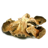 Champignons d'huître séchés naturels purs, entiers ou en tranches, sans soufre, sans additifs, nutritifs, cultivés en vrac, certifiés BRC, HACCP, KOSHER