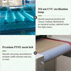 Esterilizador Automático de Alimentos, Túnel de Desinfección UV para Esterilizar Hojas de Té con Lámpara - Product Image 5