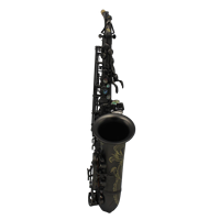 Wholesale Professional Matte Black Brass Material Alto Saxophone Eb Tone Eastern Music AS210 Premium Case Included Performance