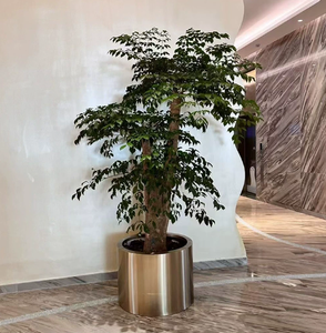 थोक आधुनिक पर्यावरण के अनुकूल उद्यान पॉट सेट धातु इनडोर स्टैंड आयताकार स्टेनलेस स्टील प्लांटर्स बॉक्स सजावट के लिए बॉक्स - Product Image 4