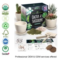 Produits de jardinage Premium Original Edition Kits cadeaux de bricolage Kit d'outils de démarrage de cactus succulent pour la plantation