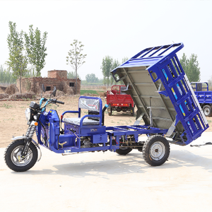 Affordable Price <b>Gasoline</b> 5-speed Transmission Aboboyaa Tricycle for Agricultural Produce Transport - Product Image 6