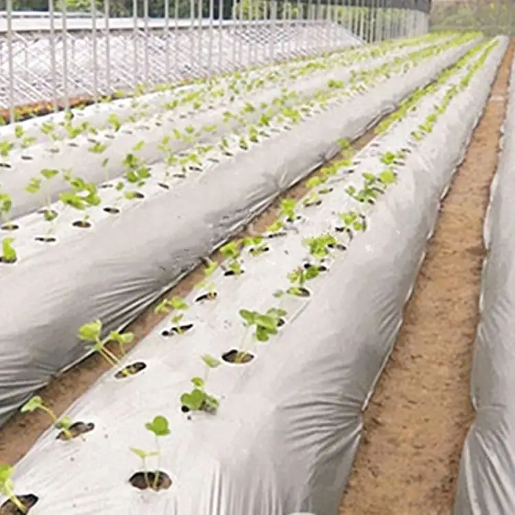 Üstün plastik tarım malç filmi domates için tarım malç