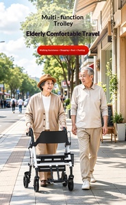 <span class=keywords><strong>Déambulateur</strong></span> <span class=keywords><strong>tout</strong></span>-<span class=keywords><strong>terrain</strong></span> avec repose-pieds pour personnes âgées et handicapées, améliorant la mobilité et le confort dans le domaine de la santé - Product Image 4