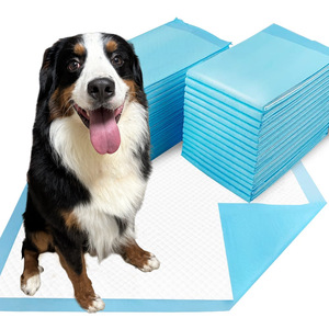 Sábana impermeable desechable multifunción para bebé, entrenamiento de mascotas para adultos, ropa interior para cama de Enfermería de Hospital para adultos - Product Image 5