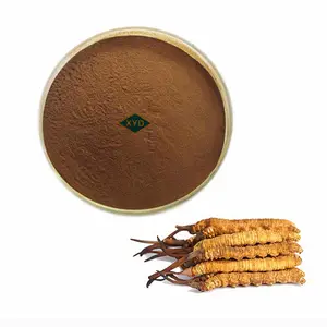 High quality cordyceps CS-4/Cordyceps militaris extract/Cordyceps sinensis