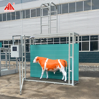 Dispositif intelligent de mesure corporelle du bétail, collecte de données corporelles du bétail pour une utilisation à grande échelle en pâturage, système intelligent de mesure du bétail