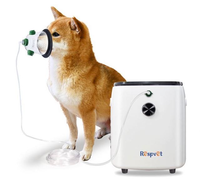 Vet Use Medical Level 5L/10L Portable Oxygen Concentrator, Medical Oxygen Concentrator