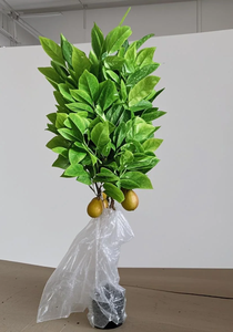 ต้นโกโก้ประดิษฐ์สำหรับตกแต่งภายในบ้าน ร้านกาแฟ และร้านขายเสื้อผ้า ต้นไม้ประดับสีเขียว - Product Image 4