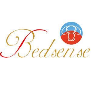 Shenzhen Bedsense Electronic Technology Company Limited logo