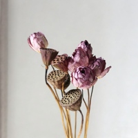 Lotus séché à double fleur avec tiges naturelles pour art aquatique, centre de table de mariage, décoration bohème pour la maison