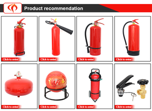 Bombola Vuota per Estintore 1kg (Extintor Vacio 1kg) Ricaricabile in Acciaio per <span class=keywords><strong>Sicurezza</strong></span> Domestica, Cucina e Auto - Perù, Argentina - Product Image 6