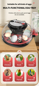 2024 अच्छा गुणवत्ता वाला नया मॉडल थर्मोरेग्लेटर 12 चिकन अंडे इनक्यूबेटर की विभिन्न क्षमता पूरी तरह से स्वचालित स्वचालित - Product Image 3