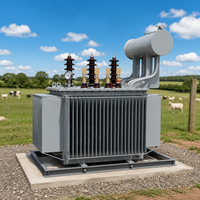 Transformateur de distribution immergé dans l'huile triphasé S20 de 630 kVA, trois enroulements, 50 Hz/60 Hz, pour usage agricole