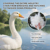 Vente en gros bon marché duvet de plumes d'oie lavées naturelles Entenfeder-Produit de qualité supérieure