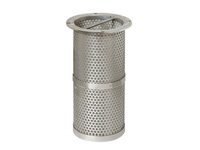 Industriële roestvrijstalen 304 316L mandfilter met flenshandvat voor water, afvalwater, olie, vloeistofleidingen