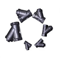 Filtre en Y en acier inoxydable 304, vanne manuelle DN15-DN50, filtration eau, gaz, huile, garantie 1 an