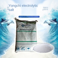 Emaux SSC Series Générateur d'électrolyseur d'eau salée Système de chloration de piscine pour désinfection Circulation Couronne Chlore