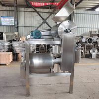 RVS 304 fruitpulper voor tomaten/papaja's/industriële fruitpulpermachine