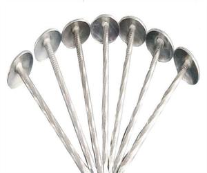 Il mercato del sud America ha galvanizzato i chiodi d'acciaio 9G con la rondella di gomma di plastica ha intrecciato i chiodi del tetto - Product Image 3