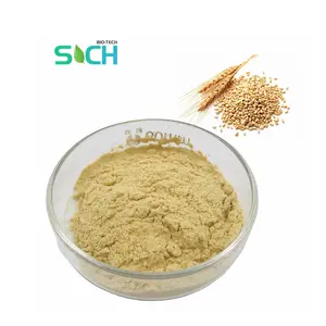 <strong>Wheat</strong> <strong>Germ</strong> Extract High Quality 1% Spermidine <strong>Best</strong> Price Bulk <strong>Wheat</strong> <strong>Germ</strong> Extract 0.2% Spermidine - Product Image 1