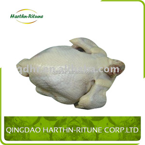 Halal congelée os artificiel entier nu filet <span class=keywords><strong>de</strong></span> poitrine/en vrac désossé poulet pieds/cuisses/ailes <span class=keywords><strong>à</strong></span> vendre - Product Image 3