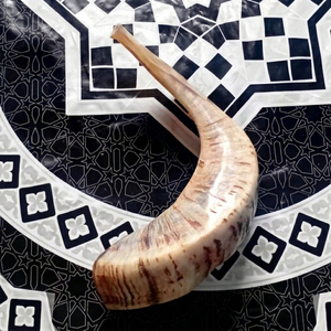 Shofar en corne de bélier Kudu, shofar en corne de bélier poli, shofar artisanal naturel, instrument en corne de bélier, shofar en corne de Kudu, shofar juif - Product Image 1