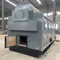 Chaudière à vapeur industrielle horizontale série DZH de 1 à 20 tonnes, alimentée au charbon, à la biomasse et aux copeaux de bois, prix direct usine CE