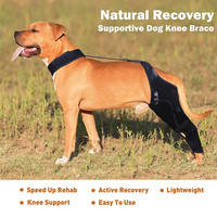 Attelle de genou pour chien en gros/Attelle de soutien pour le genou/Attelle pour l'articulation du jarret/Enveloppement pour les pattes arrière du chien/Attelle de genou réglable pour les pattes arrière du chien/Protection pour les articulations des pattes