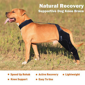 Großhandel Hund Eckzahn Knie orthese/Stütze Stütze Sprunggelenk Wickel Haustier/verstellbarer Hund Hinterbein Knie Beine Gelenk wickels chutz - Product Image 2