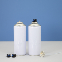 Vente en gros de boîtes en métal aérosol personnalisées de 200 ml pour huile moteur et lubrifiant, système de bouchon en plastique, emballage pour nettoyant
