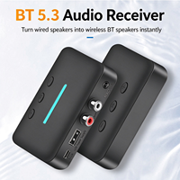 BT 5.3 Audio-Empfänger Kabelloser Audio-Adapter RCA AUX USB-Disk-Wiedergabe Typ-C Stromversorgung für Alte Verstärker und Lautsprecher