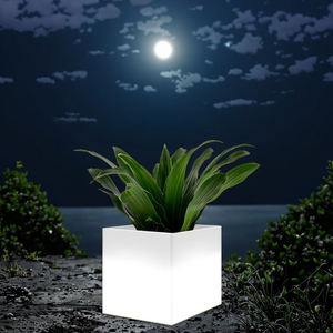 Lampade da giardino <span class=keywords><strong>a</strong></span> LED ad alta illuminazione <span class=keywords><strong>a</strong></span> bassa manutenzione decorazioni per esterni in vaso di plastica piante e vasi di fiori per la casa <span class=keywords><strong>vivaio</strong></span> - Product Image 1