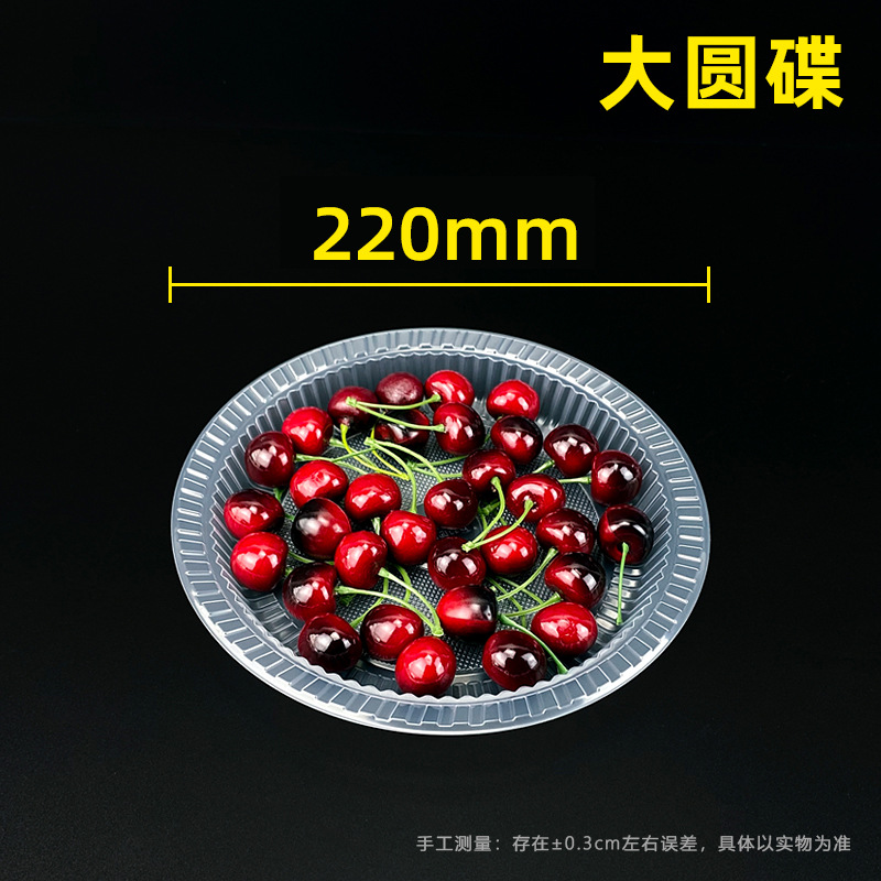 9-inch large round plate