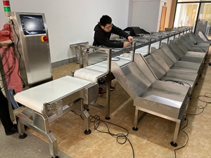 Machine de pesage et de comptage automatique électronique pour convoyeur à bande - Product Image 5