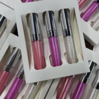 Gloss à lèvres vegan haute pigmentation, non collant, hydratant, longue tenue, brillant, huile à lèvres liquide teintée