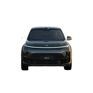 丽翔L9优质低价热卖2022 6座电动电池Suv新车