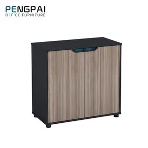 PENGPAI-armario pequeño de 2 puertas, gabinete de almacenamiento bajo para oficina y habitación