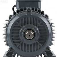 Motor Servo AC 1FK7101-5AF71-1KH5PREMIUMQ, Motor Síncrono de Imán Permanente para CNC, Robots, Empaquetado, Control de Movimiento de Precisión