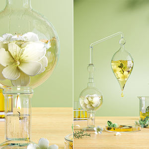 Huile parfumée florale Crearoma Victoria pour diffuseurs commerciaux 500ml, huile essentielle en vrac avec parfum quotidien pour usage hôtelier - Product Image 5