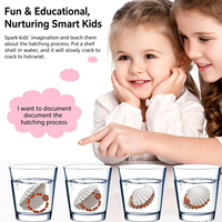 Jouets créatifs pour enfants à faire éclore dans l'eau, série Coquillages, colliers océaniques pour filles, ornements, cadeau surprise, boîte mystère en PVC