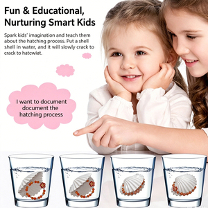Creative Water-Hatching <b>Shell</b> Children's Series Toys Girls' Ocean Necklace Ornaments Surprise Gift Blind Box Kids - Product Image 3